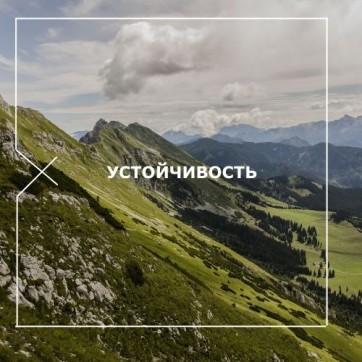 устойчивость